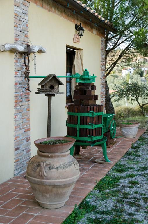Locazione Turistica Ex Le Casette Di Cedromonte Panicale Quarto foto